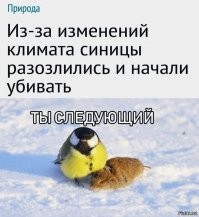 Умелое устранение врага