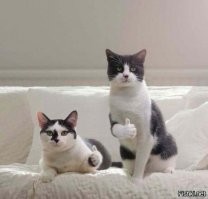 Умелое устранение врага