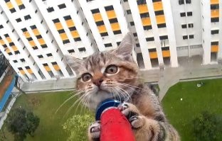 Смешные и познавательные картинки