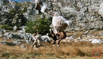 Чёрный марлин: Туша в 500 кг носится на скорости в 85 км/ч! Троллинг одной из самых быстрых рыб планеты