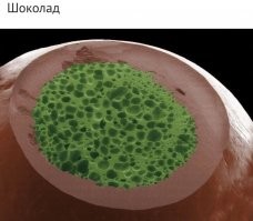 Но почему, почему, почему
Был шоколад зеленый?
А потому, потому, потому,
Что был он в плесень влюбленный.
В мельканье дней, скоростей и огней
Он в животе очутился,
Чтобы в судьбе и твоей, и моей
Большой дри..ун случился. 

Все в туалет бегут, бегут, бегут, бегут, бегут,
бегут, бегут, бегут, бегут, бегут,
а там закрыто...