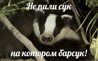 Гитарист группы Queen запустил свой парфюм: с запахом барсука