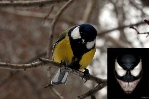 Умелое устранение врага