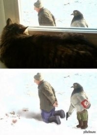 они ни с кем не церемонятся