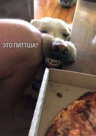 Намешалось