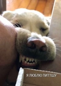 Намешалось