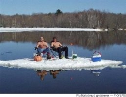 Тоже серферы в какой то мере