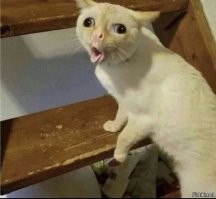 Астрономы обнаружили самую далекую черную дыру