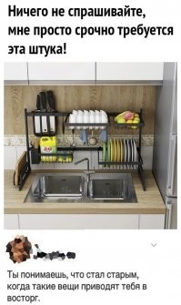 Крайней негожий проект. 
1. верхний держатель тарелок справа будет постоянно мешать рукам - ограничивает пространство над мойкой. просто хозяйка будет  постоянно биться руками 
2. Короткий гусак - толком тарелку помыть будет сложно
3. Вымытые ножи будут стекать на моющие средства, равно как и белые чаши по середине сверху