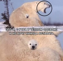 а это будильник звенит