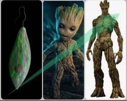 Загадочная эвглена – кто она – животное или растение?