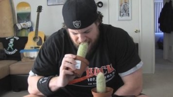 Там вся страна такая !