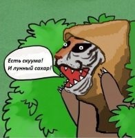 "Ни о чем не жалею": реакция кота на кошачью мяту