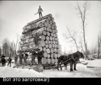 Подборка автомобильных приколов