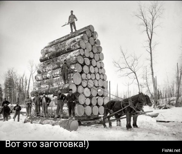 Подборка автомобильных приколов