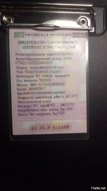 Смешные и познавательные картинки