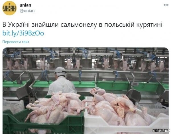 каждый год находят, по несколько раз, во многой польской продукции...уже традиция.... с 90х некондиция идет, но в 90х это легко закрывалось, а ща не всегда и инфа "стреляет", особенно когда происходит что-то такое, что уже не утаить и не "замазать баблом"... к тому же, метные производители, той же курятины, они пока еще есть, очень даже рады такому ходу событий))))