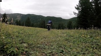 медведь фоткал)