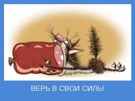 Смешные и познавательные картинки