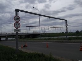 Смешные и познавательные картинки