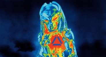 А вот и змея увидела хищника