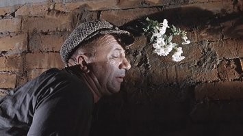 добрая женщина....