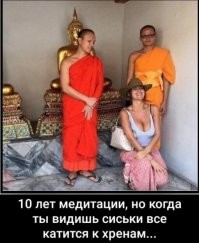 Смешные и познавательные картинки
