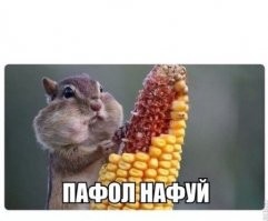 Русский суп с византийско-египетскими корнями. Откуда пошёл борщ?