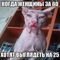 Образ кота в демотиваторах