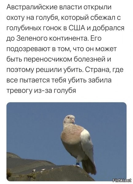 О политике и не только
