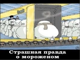 Смешные и познавательные картинки