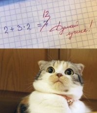 Смешные и познавательные картинки