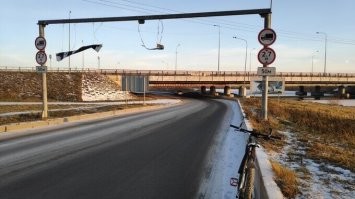 Смешные и познавательные картинки