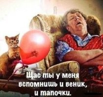 20 хулиганистых морд, с которыми покой вам только снится 