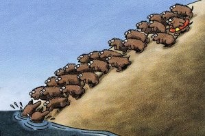 Факты о леммингах - необъяснимая трагедия