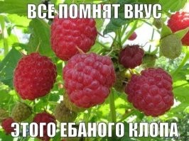 К Клубничке . . .