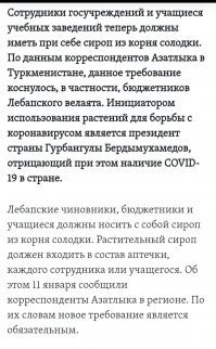 «Убивает вторичные инфекции»: поможет ли полынь бороться с COVID-19