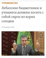 «Убивает вторичные инфекции»: поможет ли полынь бороться с COVID-19