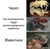 Реконструкция - штука такая...