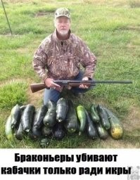 Смешные и познавательные картинки