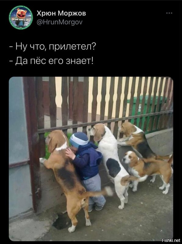 Политические комментарии и другой разный юмор с сарказмом и без