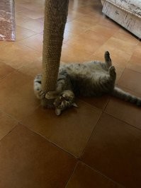 С добрым утром!