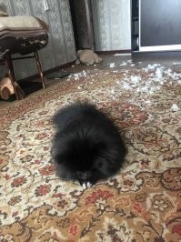 Утро начинается не с кофе))))