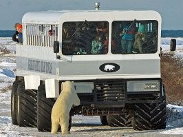 Неужели на этом возили детей? Школьный автобус из 1930-х
