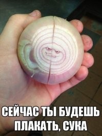 Мозг, что ты творишь? Остановись!