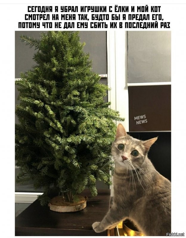 Солянка от 18.01.2021