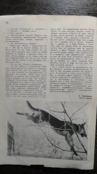 Здравствуйте. Приношу извинения, но я совсем забыла, что обещала Вам статью. Сперва меня отвлекли дела, а потом я тупо забыла. Стыд мне. Вот сейчас вспомнила и исправляюсь. Надеюсь, Вам это ещё актуально.