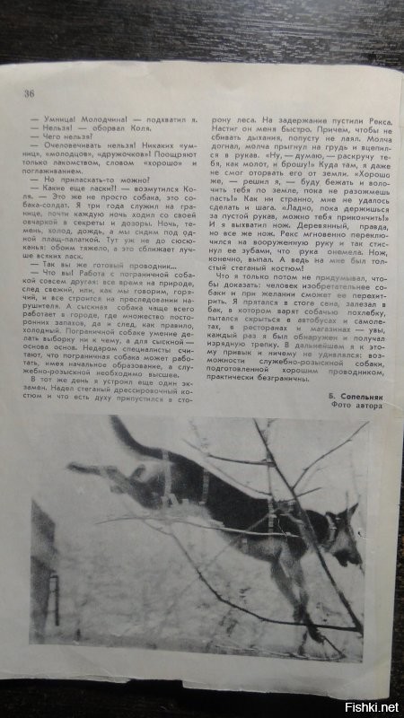 Здравствуйте. Приношу извинения, но я совсем забыла, что обещала Вам статью. Сперва меня отвлекли дела, а потом я тупо забыла. Стыд мне. Вот сейчас вспомнила и исправляюсь. Надеюсь, Вам это ещё актуально.