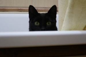 Мой из ванны контролирует, когда я на горшке.