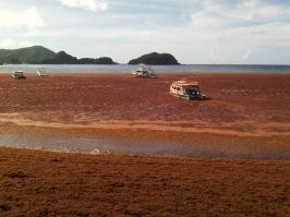 Ну неплохо было бы и фотографию добавить.
А шутка юмора действительно не особо очевидна.